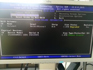 RAID　BIOS画面