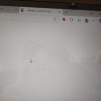 髪の毛ではありません