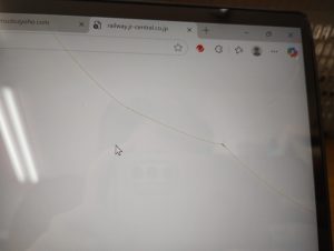 髪の毛ではありません